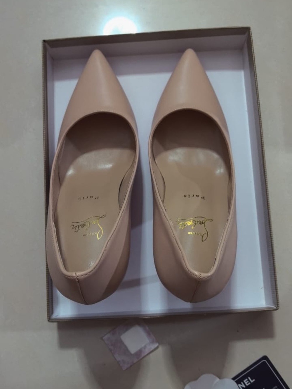 Christian Louboutin Blush Nude Pointed-Toe Pumps